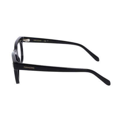 Salvatore Ferragamo Eyewear | Model SF3025