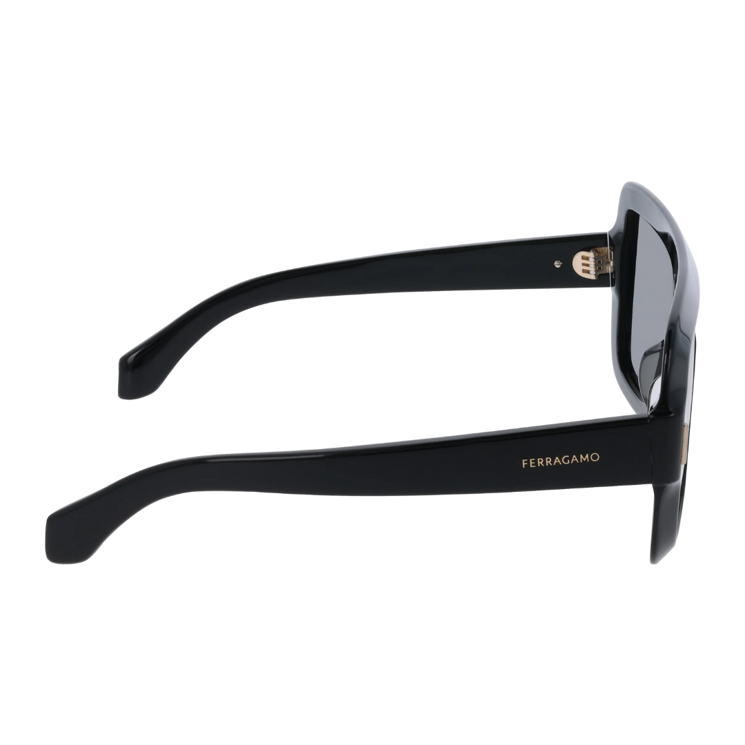 Lunettes de soleil Salvatore Ferragamo | Modèle SF2061SE