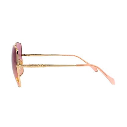 Just Cavalli Sunglasses | Model SJC031