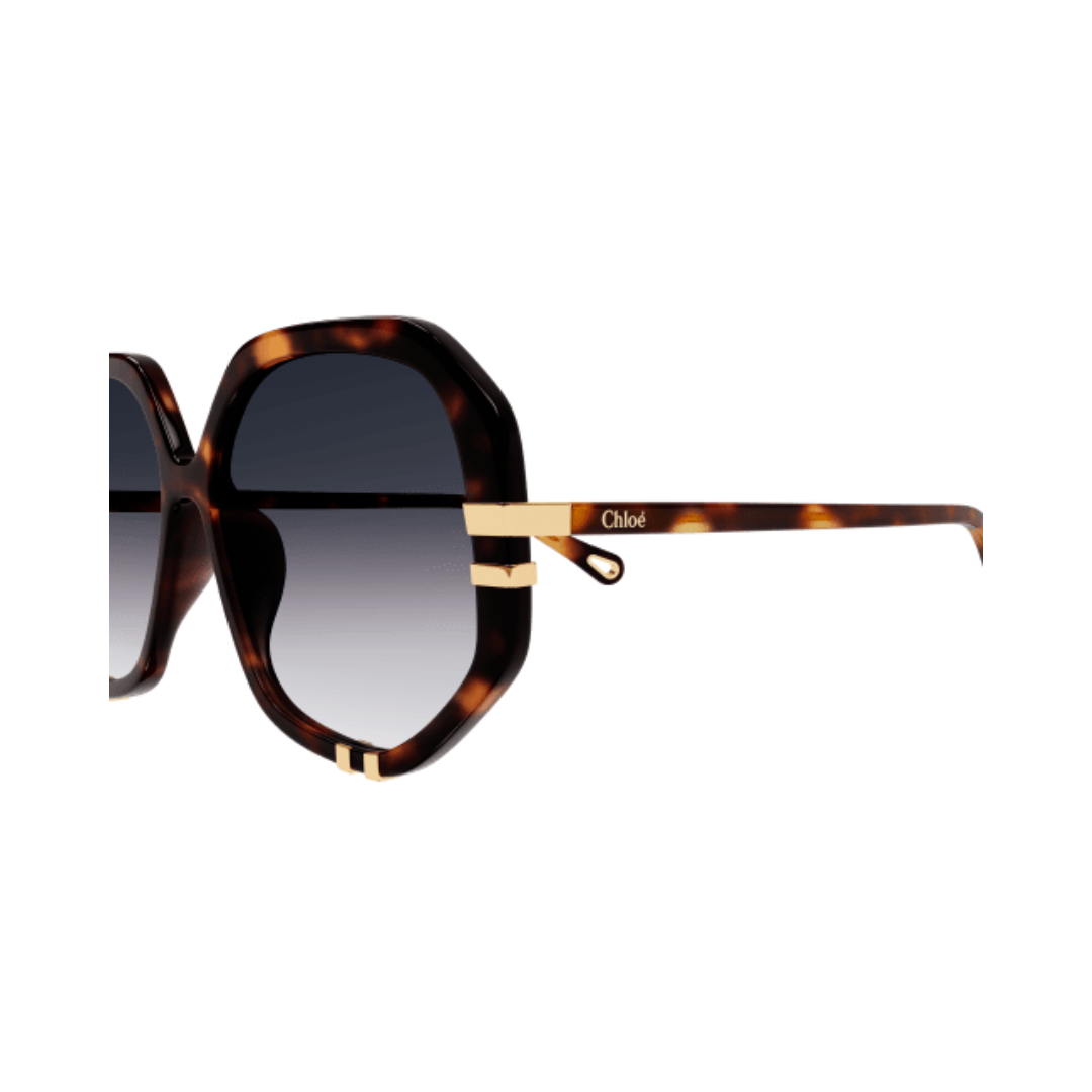 Chloe Sunglasses | Model CH0105S