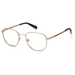 Monture de lunettes fossile | Modèle FOS 7099/G