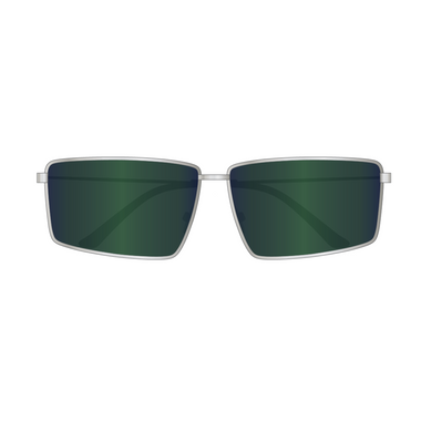 Balenciaga Sunglasses | Model BB0195S