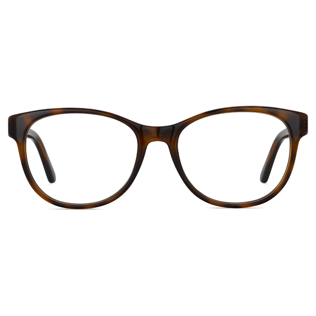 Jimmy Choo Spectacle Frame | Model JC241